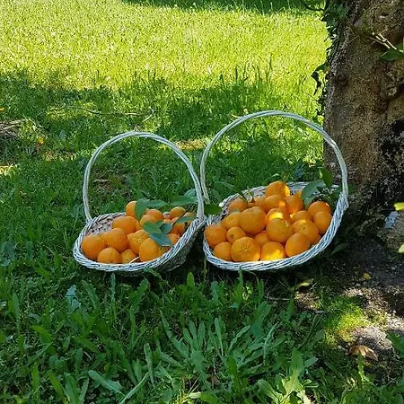 Casa Da Arosa Сasa de vacaciones Celorico De Basto