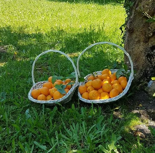 Casa Da Arosa Casa vacanze Celorico De Basto